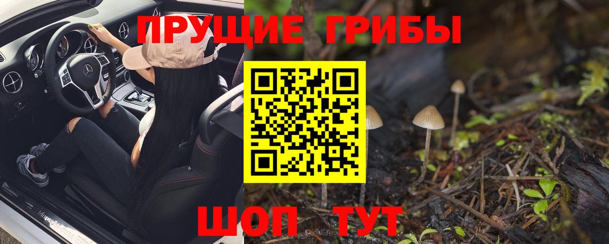 Псилоцибиновые грибы Magic Shrooms Узловая