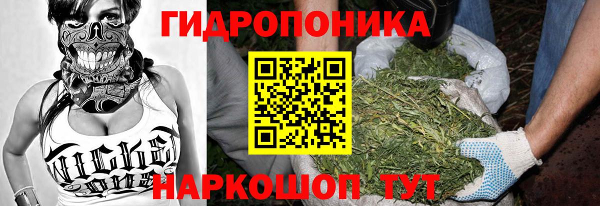 Бошки Шишки Bruce Banner Узловая